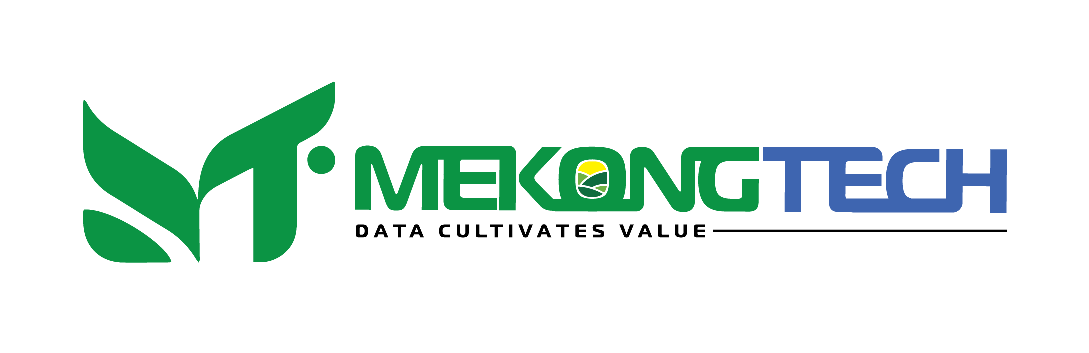 Mat hoa dua Ben Tre 2